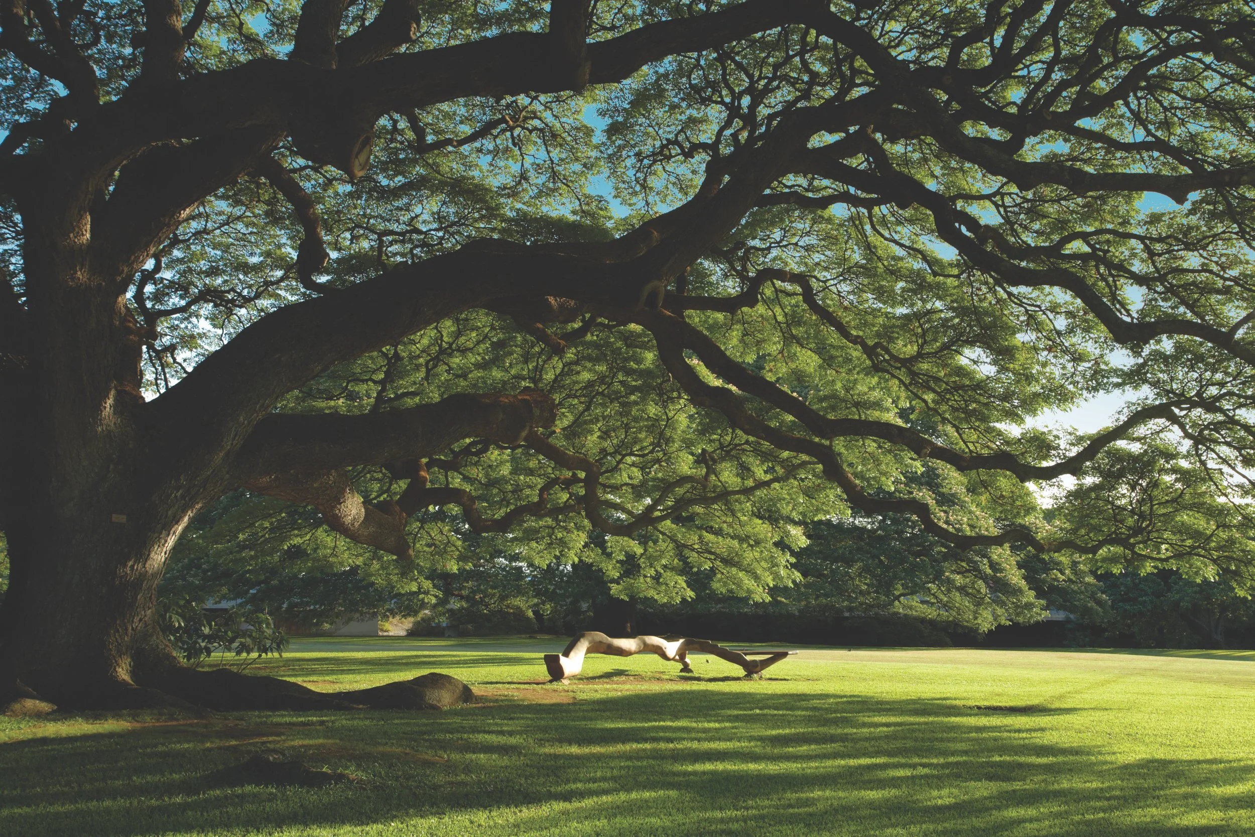 ABOUT — MOANALUA GARDENS